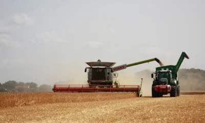 O Impacto Econômico da Agricultura no Sertão