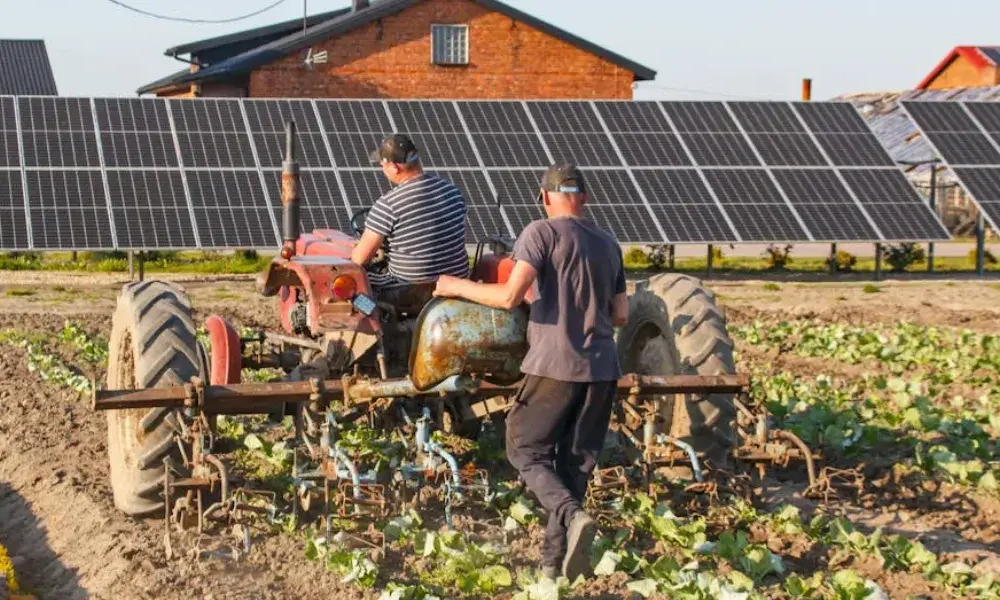 Novas tecnologias na agricultura e a demanda por profissionais